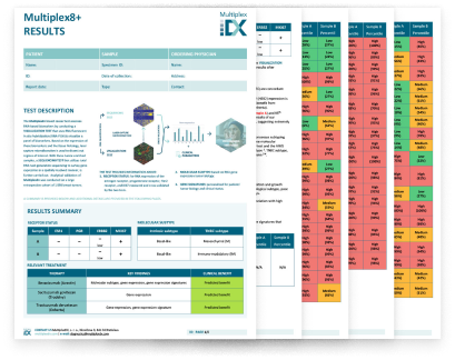 Report sample